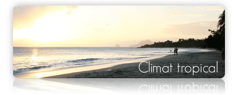 Le climat
