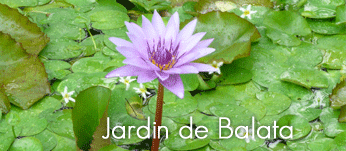 Le Jardin de Balata