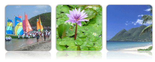 Martinique, &icirc;les aux fleurs