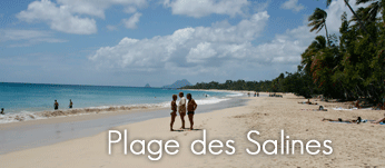 La plage des Salines